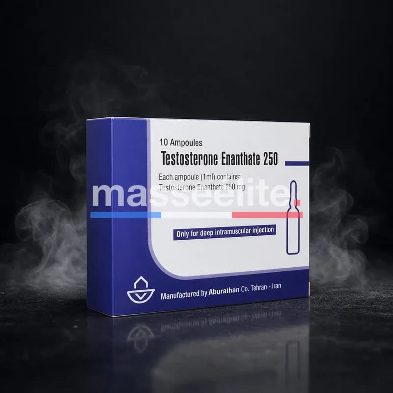 Testosterone Enanthate 250mg/ml 10x1ml Ampoules par Aburaihan Iran