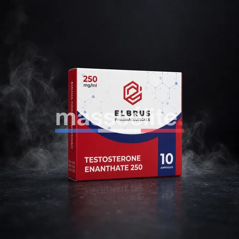 Testosterone Enanthate 250mg/ml 10x1ml Ampoules par Elbrus Pharmaceuticals